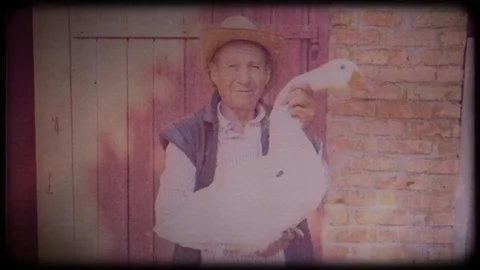 A farmer in a straw hat holds a large white goose. Stock Footage 104724970