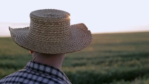 Farmer in a straw hat inspecting fields at sunrise. Slow motion Stockbeeldmateriaal 76997941