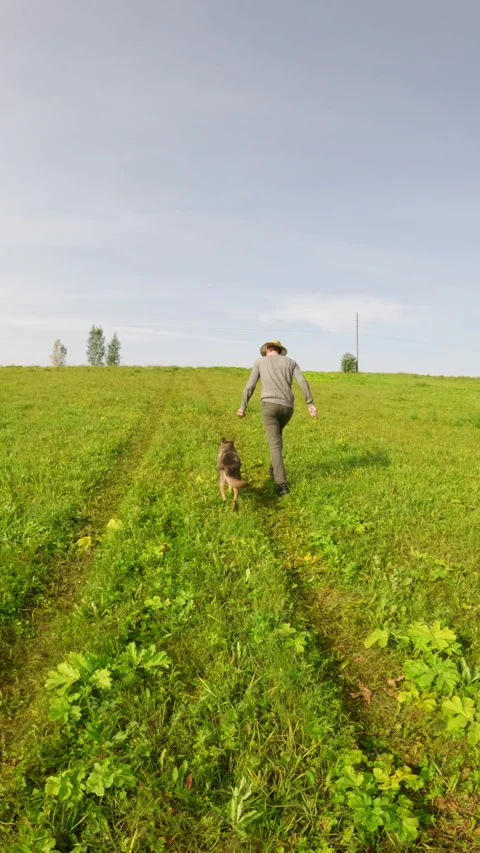 Farmer in a straw hat joyfully runs through a lush green field, playing fetch Stock Footage 283678056