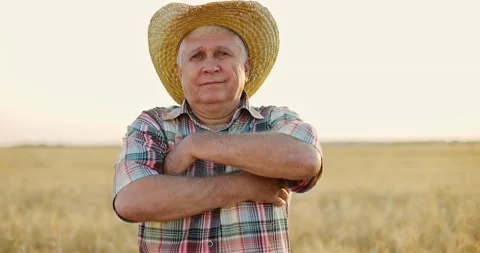 Farmer in straw hat standing in yellow wheat field at sunset of summer day and Stock Footage 157784847