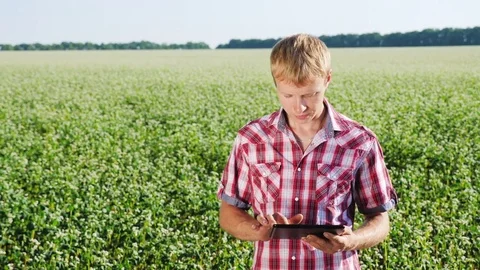 Farmer With Tablet Adds Data About the Growth Stock Footage 77201423