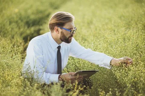 Farmer with tablet on field Foto stock