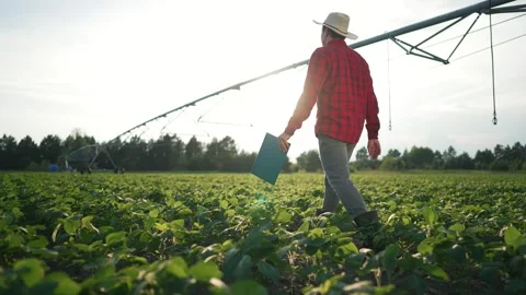 Farmer with tablet inspects sprinkler system. Farmer monitors crops using tablet Stock Footage 345337688