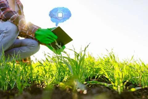 A farmer with a tablet successfully uses artificial intelligence at an agri.. 写真素材