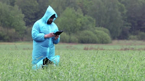 Farmer with a tablet in a wheat field, checking the quality of grain after a Vídeos de archivo 136724517
