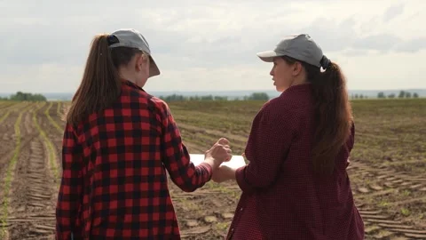 Farmer tablet work field, business colleague, partner team group people Stock Footage 244241214