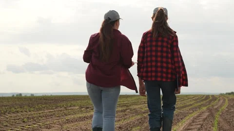 Farmer tablet work field, business colleague, partner team group people Stock Footage 244308011