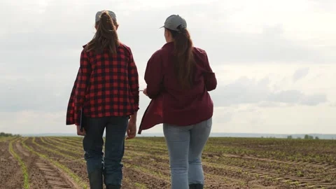 Farmer tablet work field, business colleague, partner team group people Stock Footage 244550967