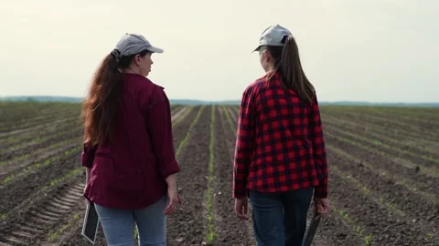 Farmer tablet work field, business colleague, partner team group people Stock Footage 245952045
