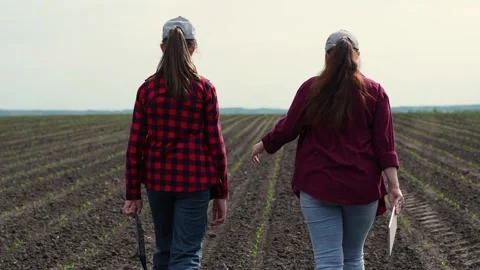 Farmer tablet work field, business colleague, partner team group people Stock Footage 246947192
