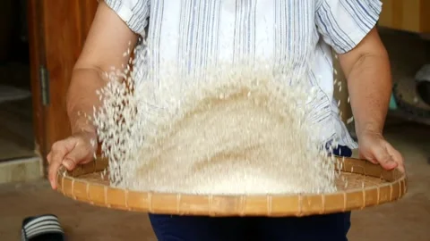 The farmer takes rice from burlap, selects the impurity out off the grain Vidéo 269489309