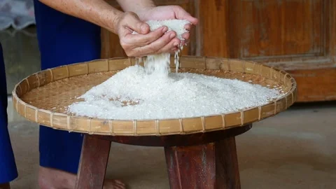 The farmer takes rice from burlap, selects the impurity out off the grain Vidéo 269489314