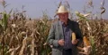 Farmer Talking Food Agriculture Industry Ripe Corn Field Maize Crop Harvest 4k or 4k+ Resolution