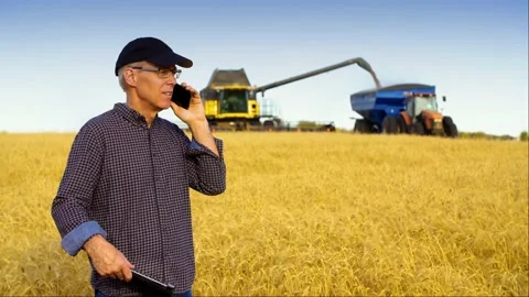 A farmer talking on his cell while holding a tablet with a combine and grain bug Stock Footage 163180957