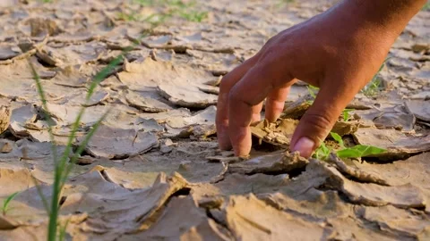Farmer testing the Dried patch of land. Cracked Land. Scars of the Earth Stock Footage 342728845