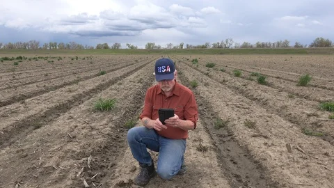 Farmer testing soil, working the land Stock Footage 87287868