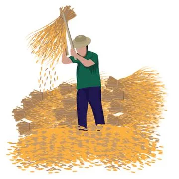 Farmer thrash rice vector design Stock Illustration