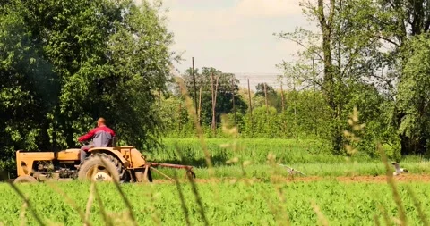 Farmer on a tractor cultivates his plot surrounded by birds. Countryside Vídeos de archivo 197324489