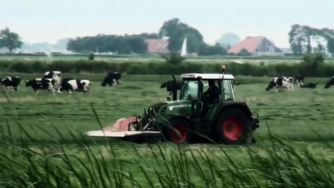 Farmer with tractor on cutting grass Video stock 82068780
