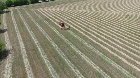 Farmer on tractor cutting hay to make hay bails. 動画素材 89108733