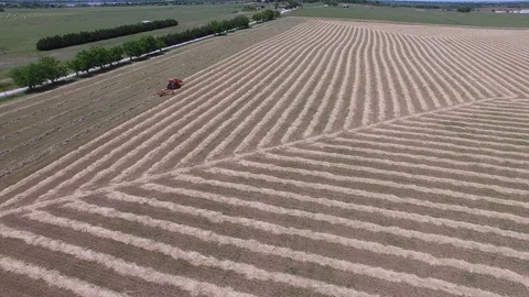 Farmer on tractor cutting hay to make hay bails. Stockbeeldmateriaal 89108754