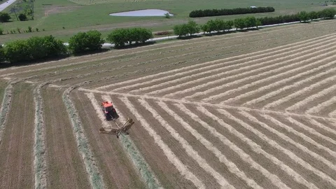 Farmer on tractor cutting hay to make hay bails. Stockbeeldmateriaal 89108786
