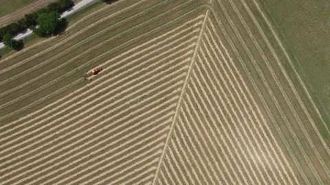 Farmer on tractor cutting hay to make hay bails. Stockbeeldmateriaal 89108816