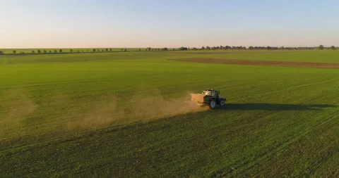 Farmer in tractor fertilizing wheat field, aerial drone 4k video Stock Footage 141834992