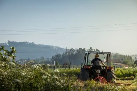 Farmer on a tractor Stock-Fotos