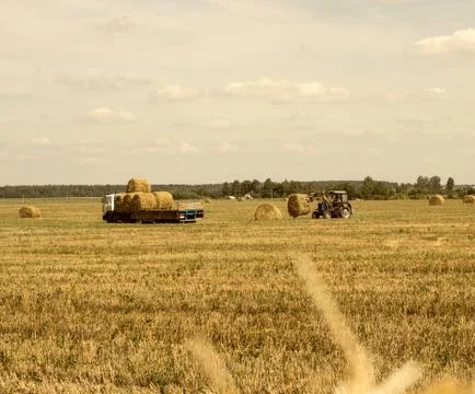 Farmer on a tractor picks haystack and loads bale of hay into the trailer Foto stock