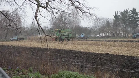 A Farmer on The Tractor Processes The Earth Stockbeeldmateriaal 48633349