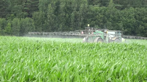 Farmer tractor sprays maize corn field crops with protective chemicals. 4K Stock Footage 58848538