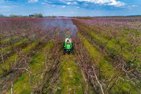 Farmer with tractor using a air blast sprayer Stock Photos