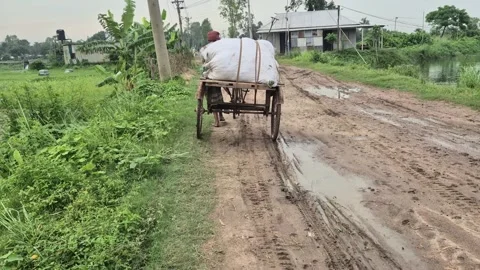 Farmer Transporting Harvested Crops on Three-Wheeled Van Village Life Video Stock Footage 343625900