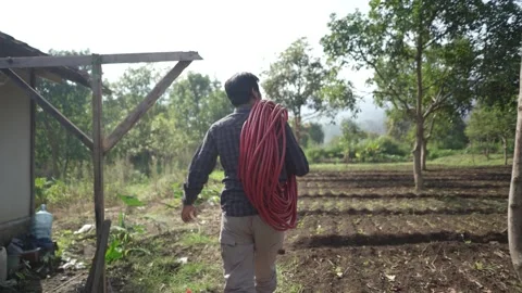 Farmer transporting irrigation hose through cultivated farmland scenery Stock Footage 311575206