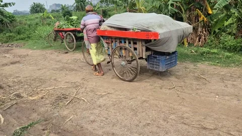 Farmer Transporting Vegetables On Three Wheeled Cycle Van Stock Footage 337389772