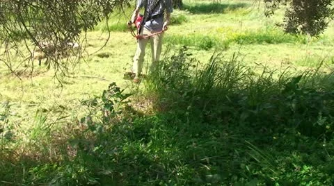 Farmer with Trimmer (2) Видео 10680724