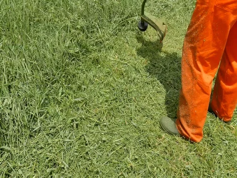 Farmer trimming cut grass Stock Footage 76597850