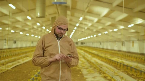 The farmer in uniform checks process on poultry farm using smartphone Stock Footage 112500380