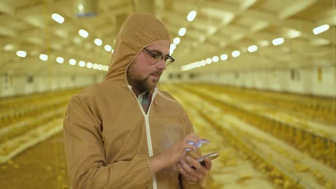 The farmer in uniform checks process on poultry farm using smartphone Stock Footage 112500790