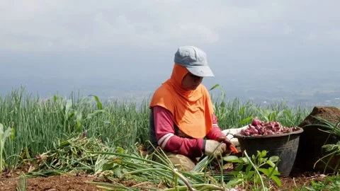 A Farmer Union Stock Footage