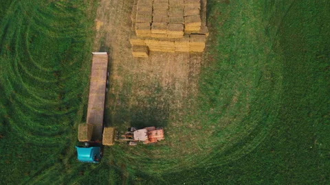 Farmer unload round bales of straw from Hay Trailer with a front end loader. Stock-Footage 167064450