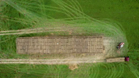 Farmer unload round bales of straw from Hay Trailer with a front end loader. Stock-Footage 167561862