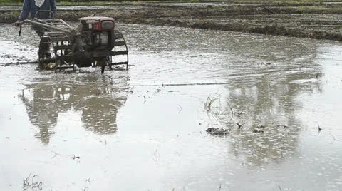 Farmer use tractor working in farm for plant rice of thailand Stock Footage 26353072