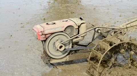 Farmer use tractor working in farm for plant rice of thailand Stock Footage 26365127