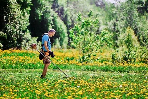 Farmer uses backpack hanger when working with gas powered string weed wacker Stock Photos