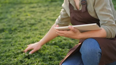 Farmer uses digital tablet in the field, close-up Stock Footage 130113206