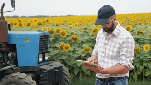 Farmer uses digital tablet in the field near the tractor Stock Footage 155648159