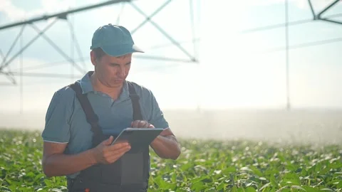 Farmer uses digital tablet in green field. Agriculture worker checks smart Stock Footage 342605481
