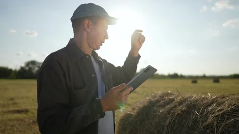 Farmer uses digital tablet in hay field. Man farmer checks agriculture data on Stock Footage 342605775